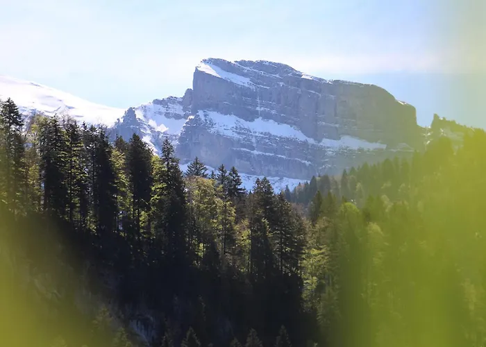 Appartement B31 - In